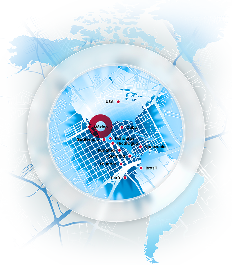 Sistema TMS de gestión de transportes