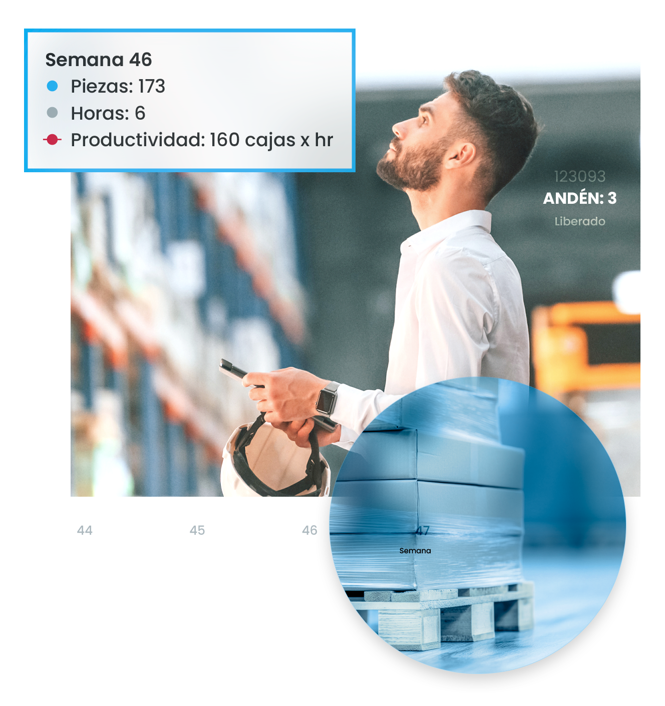 WMS eficiencia operativa